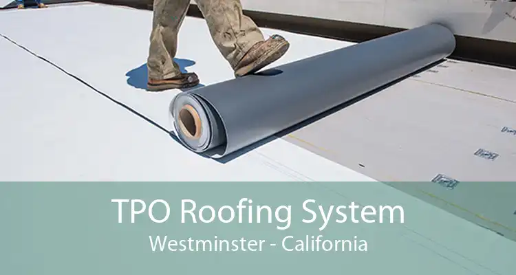 TPO Roofing System Westminster - California